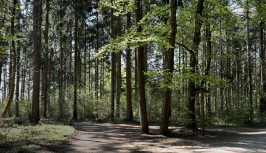 Buying a plot of land what to look for